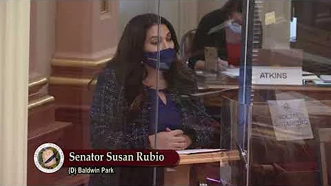 SCR 54 (Ochoa Bogh) - Domestic Violence Awareness Month