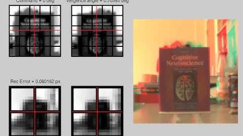 Autonomous learning of Stereo-vision on iCub