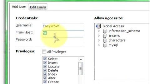 How to give other people access to your WoW Private Server Database
