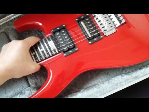 Case Video of Red V25-FR