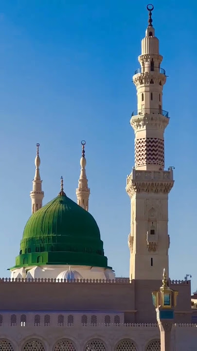 ya habib ya mohammad ﷺ❤️🕌🕋 #shorts