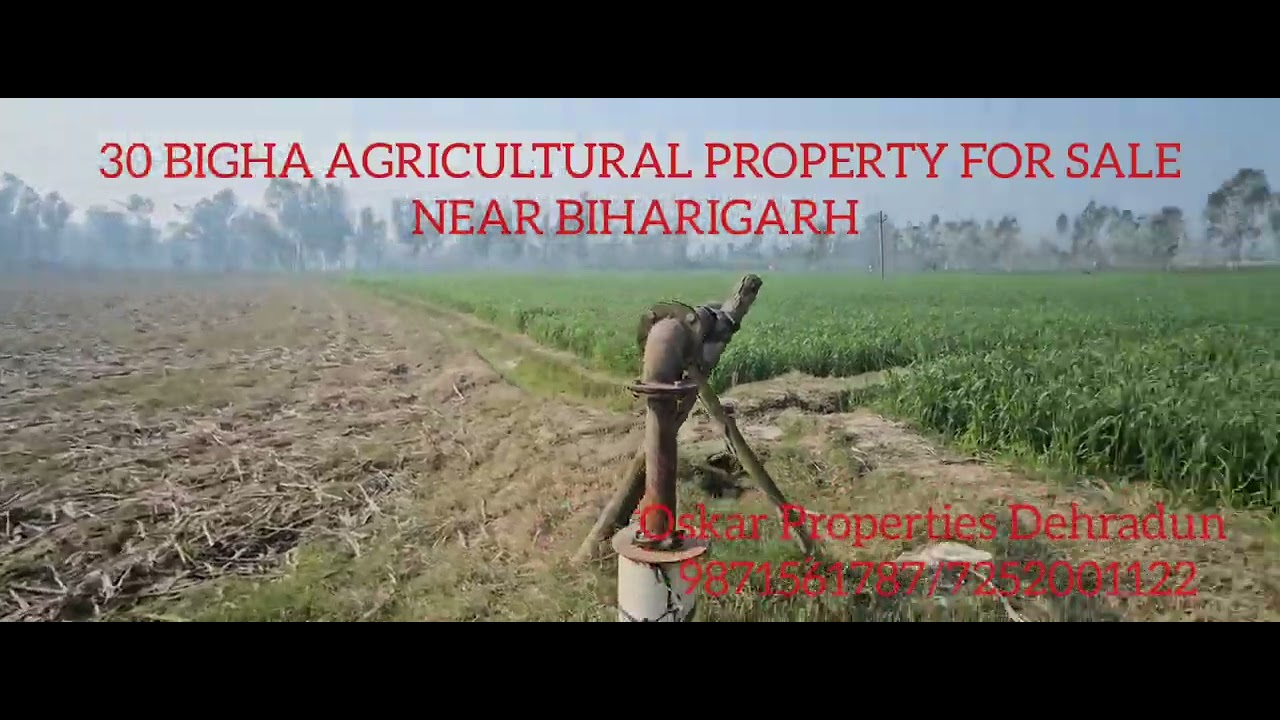 30 bigha agriculture property for sale at chuttmalpur near Dehradun 