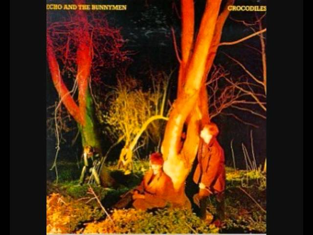 Echo And The Bunnymen - Crocodiles