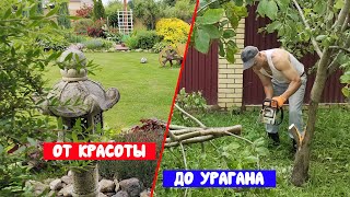 видео: Наш КРАСИВЫЙ УЧАСТОК со всеми хоздворами... и ... от КРАСОТЫ до УРАГАНА - один миг! картинка: Наш КРАСИВЫЙ УЧАСТОК со всеми хоздворами... и ... от КРАСОТЫ до УРАГАНА - один миг!