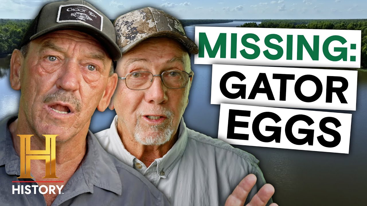 Why Are Alligators Vanishing from the Swamp? | Swamp Mysteries (Season 3)