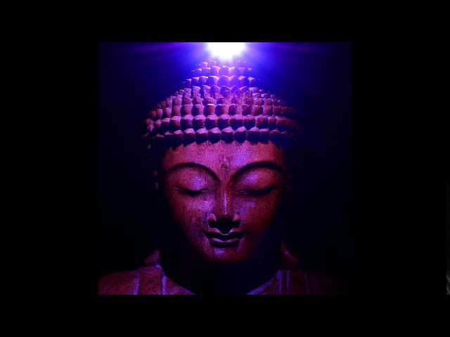 417Hz Spiritual Body Detox - Cell Purification | Reiki Healing Music - Whole Body Regeneration class=