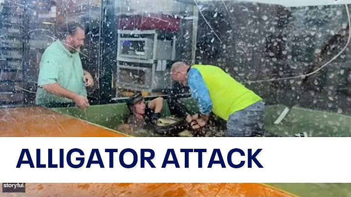 Alligator attacks handler at childs birthday party...