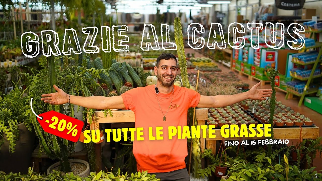 Ti Piacciono le Piante Grasse? Grazie al Cactus!