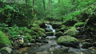 Relaxing Music: Flute, Meditation, Birds Chirping, Water Flow, Relaxing, Sleeping, Nature (10 mins) screenshot 4