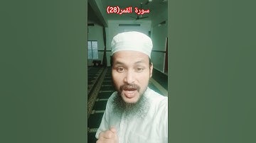 Surah Al Qamar(28)سورة القمر(28) #quran #allbayan#islamicvideo #Urdutransmission #urdu