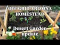 Desert Gardening isn’t easy! | Starting Seedlings indoors | Zone 9B - Arizona
