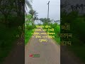 🌅 আজকের সকাল—নতুন শুরু, নতুন সুযোগ। আপনি কি প্রস্তুত? ✨#শুভ_সকাল #dailybarobazar
