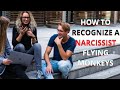 How To Recognize a Narcissists Flying Monkey