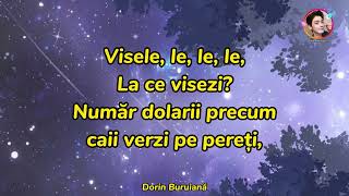 Irina Rime x Theo Rose - Stinge luminile (Versuri/Lyrics Video) | Miami Bici 2 OST
