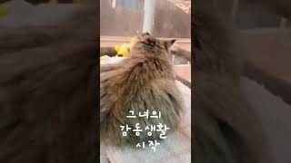 티나, 첫날 (TEENA, 1st day) by 루티 41 views 1 month ago 2 minutes, 57 seconds