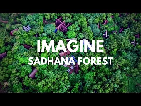 Video: Menanam Pohon Dan Toleransi Pemberitaan Di Sadhana Forest - Matador Network