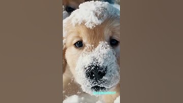 Yapay Zekada Son Nokta / Introducing Sora OpenAI’s text-to-video model #Sora #OpenAı #ChatGPT #4k