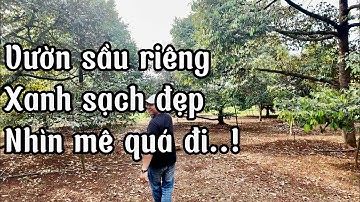 CÔ DANH bán gấp mảnh đất full vườn trái cây nhìn mà mê tại bà rịa vũng tàu