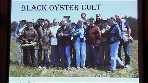Ornithology Update with Anna Weinstein