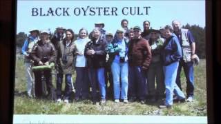 Ornithology Update with Anna Weinstein