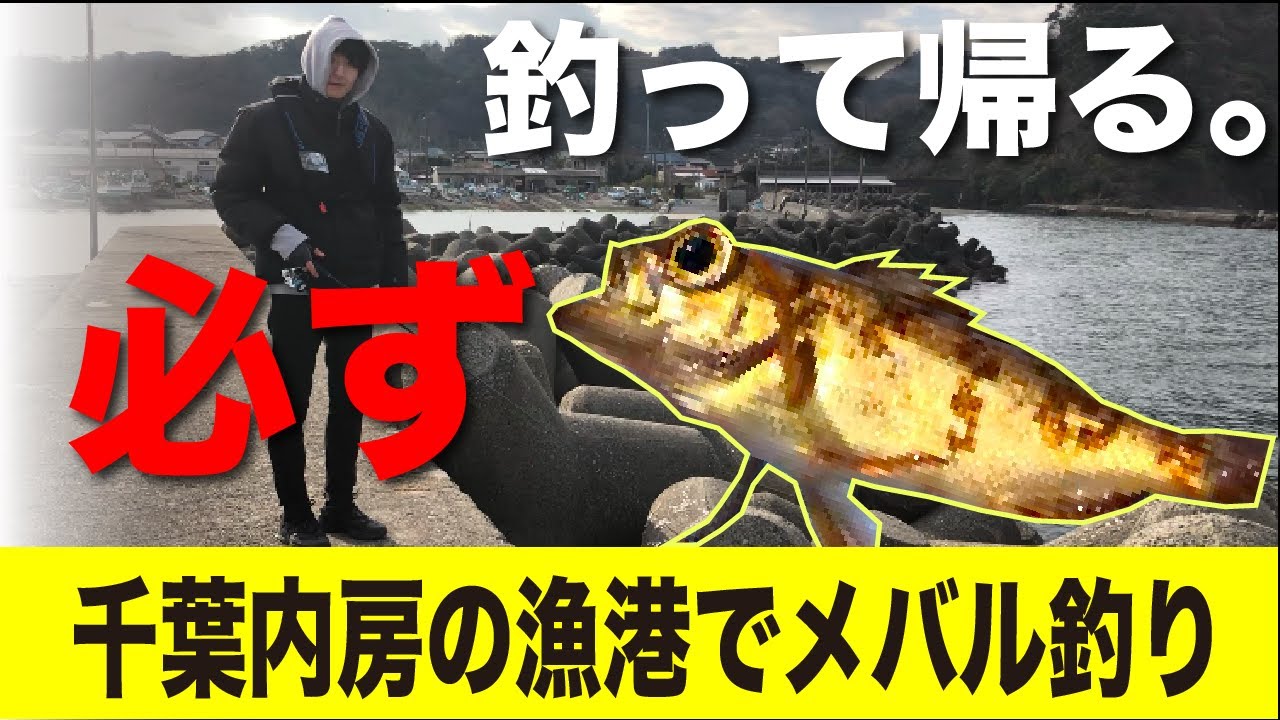 千葉内房の漁港メバル釣り 史上最悪の悪条件の中で 貴重な一匹を釣る メバル Youtube