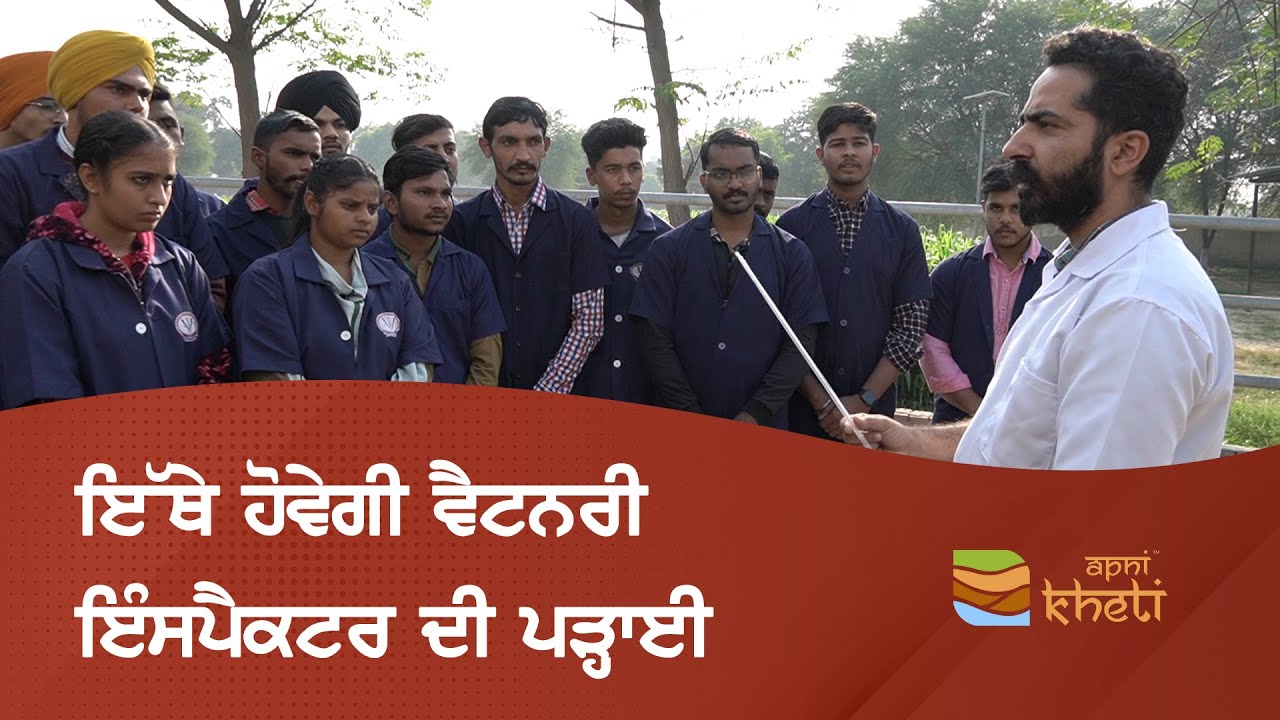 ਵਿਦੇਸ਼ ਜਾਣ ਨਾਲੋਂ ਇਹ ਪੜਾਈ ਵੱਲ ਧਿਆਨ ਦੇਣ ਦੀ ਜਰੂਰਤ I Veterinary Polytechnic College, Kaljharani - GADVASU