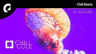 Chill Cole - Surrounded by Nature