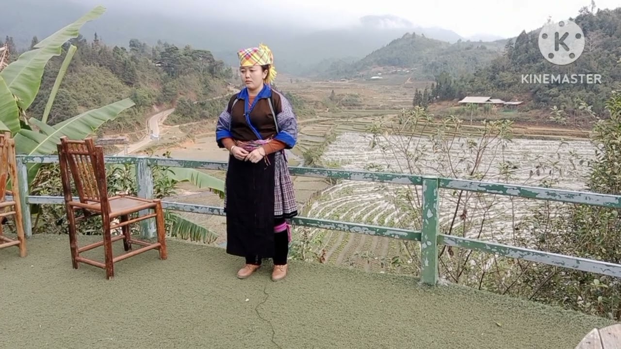 maiv vaj lug txaj tawm tshiab nkauj nraug tsi sib tau/15/12/2022