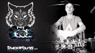 Andrew Rayel - Live @ Electric Daisy Carnival (Vegas) - 21.06.2014.mp4