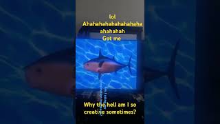 Spongebob Intro Fandub Nńopßoos