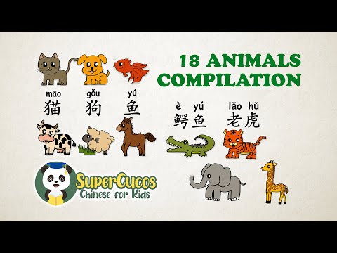 学中文-动物合辑 | Learn Chinese for kids - Animals Compilation | Aprender Chino - Recopilación de animales