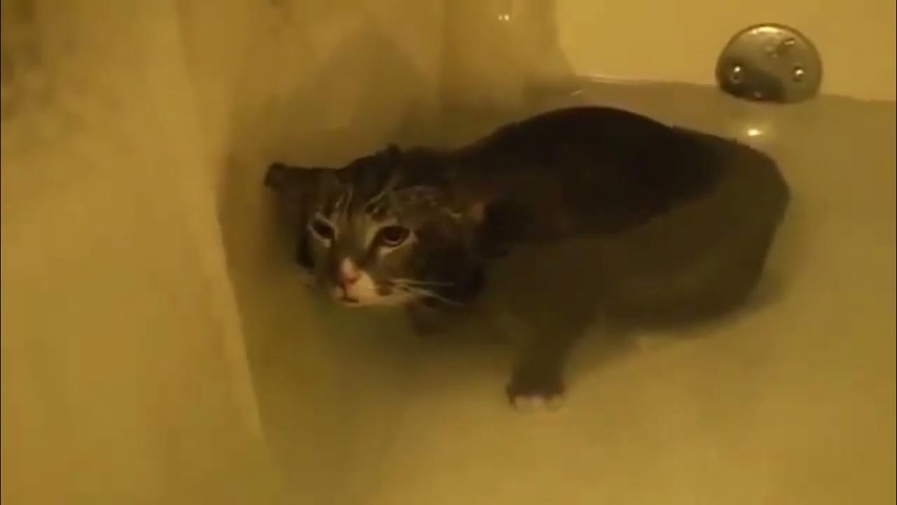 млем - YouTube