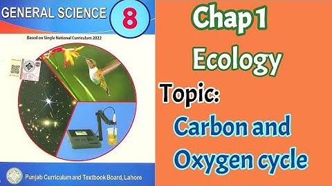 8th Class General Science Chapter 1 - Carbon and Oxygen Cycle - Class 8 General Science Chapter 1
