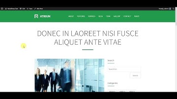 Atrium - Responsive One Page WordPress Theme: Assigning menu locally