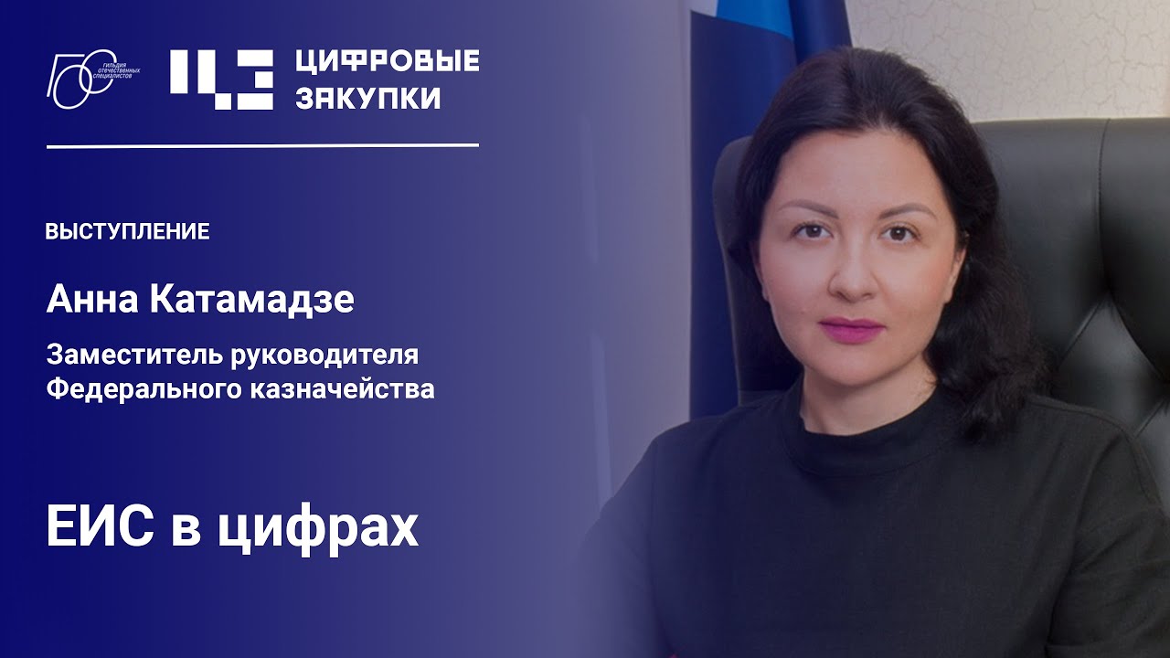 Заместитель руководителя казначейства