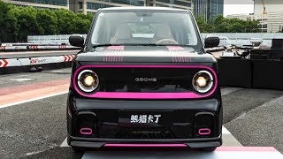 2024 Geely Panda Mini Ev In-Depth Walkaround