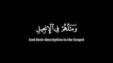 محمد رسول الله والذين معه أشداء على الكفار |كرومات شاشة سوداء | سورة الفتح | الشيخ عبدالولي الأركاني