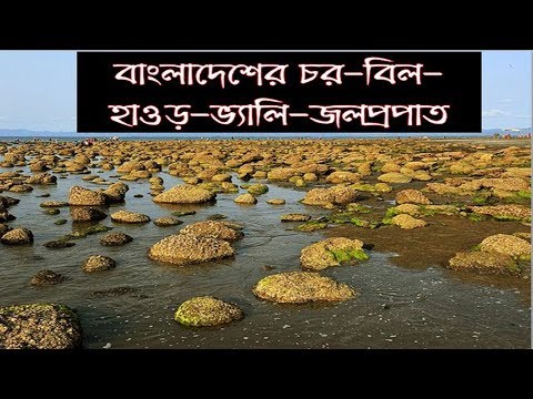 ভিডিও: বিখ্যাত বন্য Flines কি কি