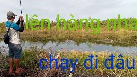 đóng cá liên tục tại Tân Phước, tiền giang.cái kết bất ngờ..,!