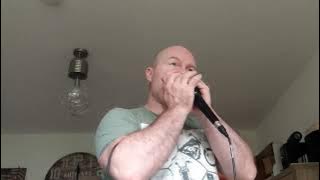 Harmonica sounds like an accordion