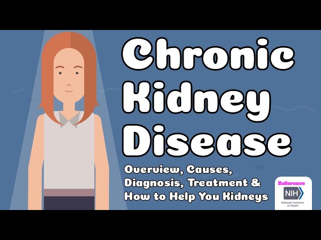 Chronic Kidney Disease - Overview, Causes, Diagnosis, Treatment & How to Help You Kidneys class=