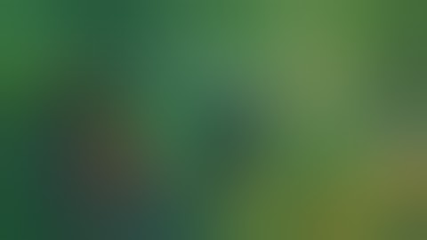 ROCK LEE AS CHOU CUSTOMIZED SKIN SCRIPT | No Password 🔓 |