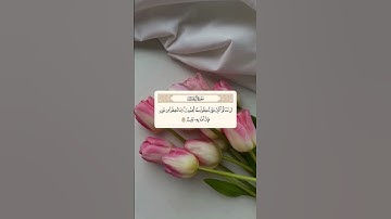 #سورة_آل_عمران #قران #القران_الكريم #آيات_بينات #ماهر_المعيقلي #quran #اكسبلور