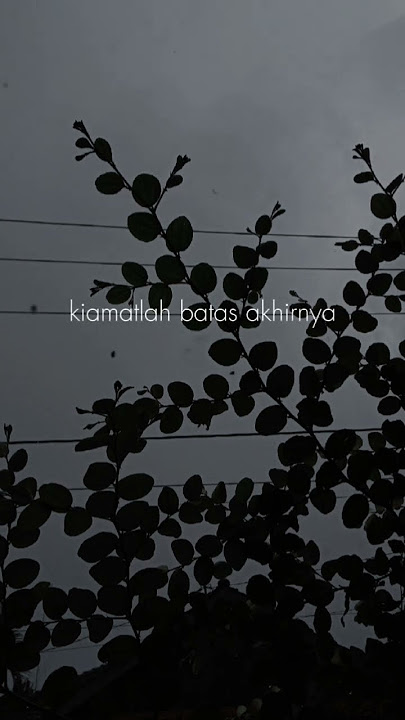 Desi Ratnasari - Hidayah #shortvideo #liriklagu #sadstory #hidayah #hijrah #islamic #pengingatdiri