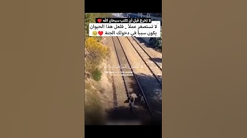 سورة الرحمن ♥️🥹 القارئ عبدالله علي || #short #quran قرآن كريم بصوت جميل يريح القلب #قرآن #تلاوة