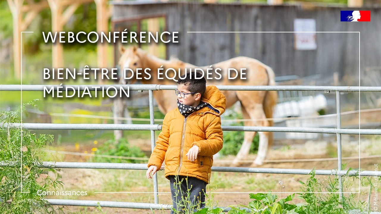 Bien-être des équidés de médiation - Céline Rochais