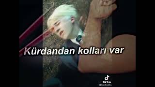 Kürdandan kolları var