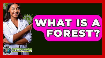 What Is A Forest? - Earth Science Answers