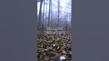 استمع لحظات تنفعك يوم القيامة❤️ وتجهز لرمضان 🌙... | القرآن الكريم ( شُفَيَعٍگ يَۆم آلُقيَآمة )