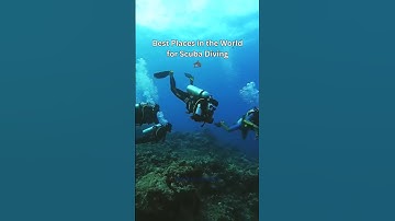 Best places in the world for scuba diving #scuba #scubadiving #thailand #travel #indonesia